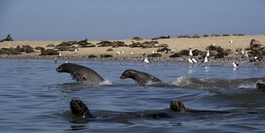 Affitto camper Walvis Bay